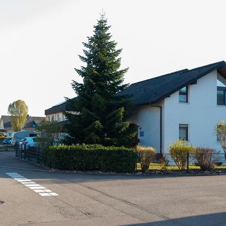 Ferienwohnung Angelika Degerfelden ภายนอก รูปภาพ